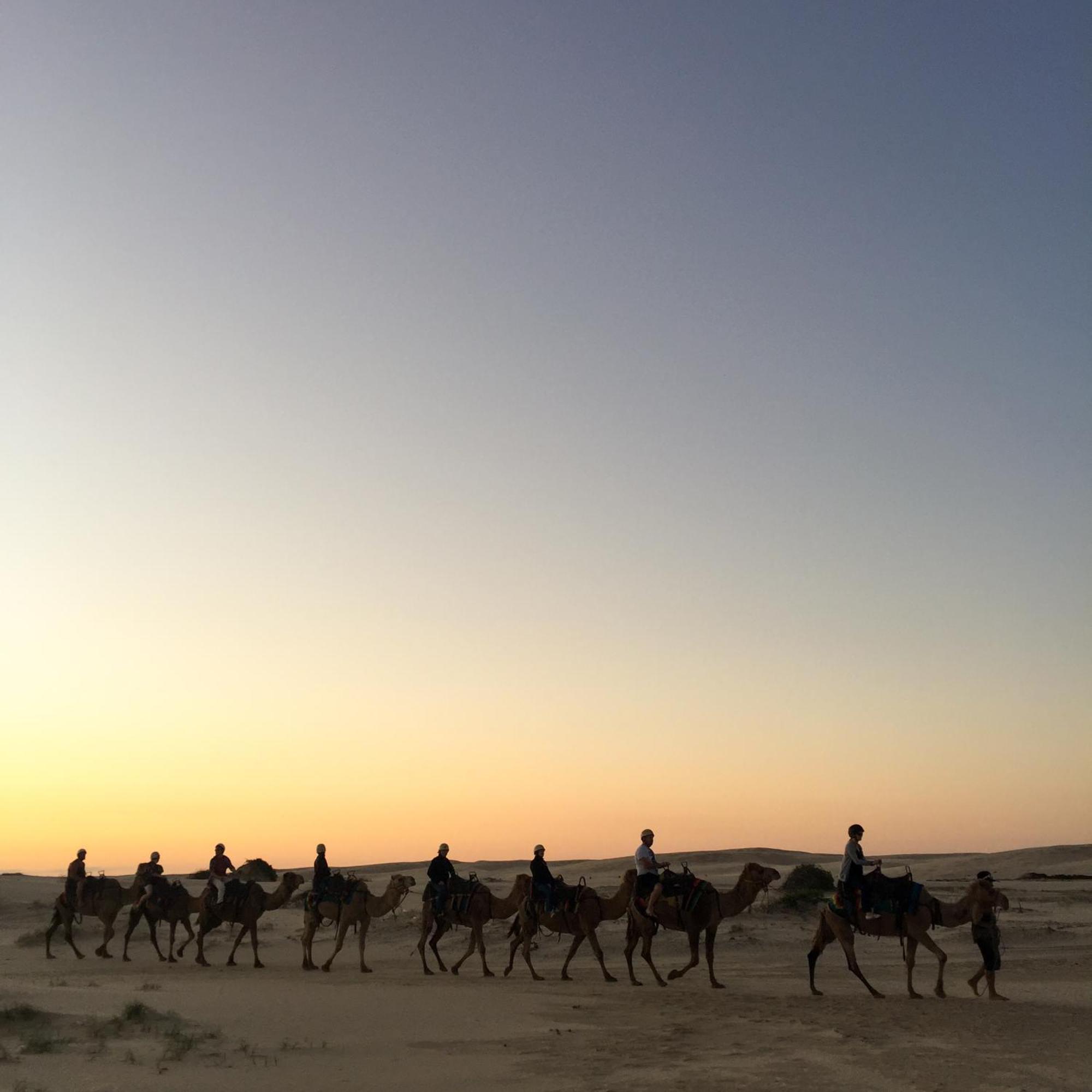 Hotel Royal Jaisalmer Luaran gambar