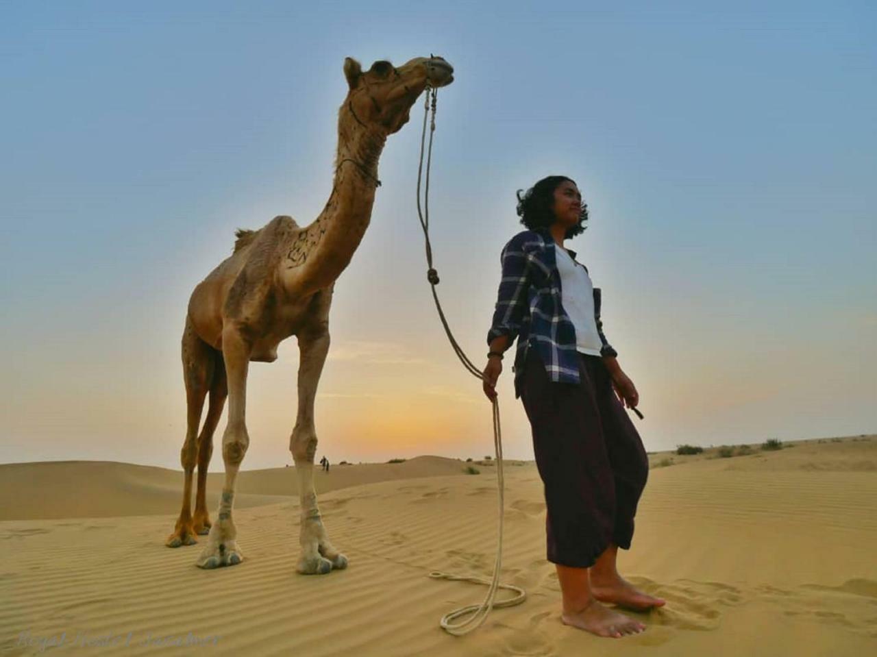 Hotel Royal Jaisalmer Luaran gambar
