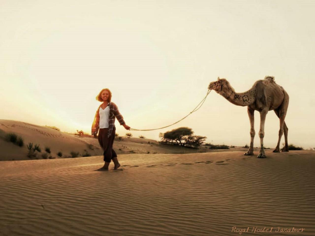 Hotel Royal Jaisalmer Luaran gambar