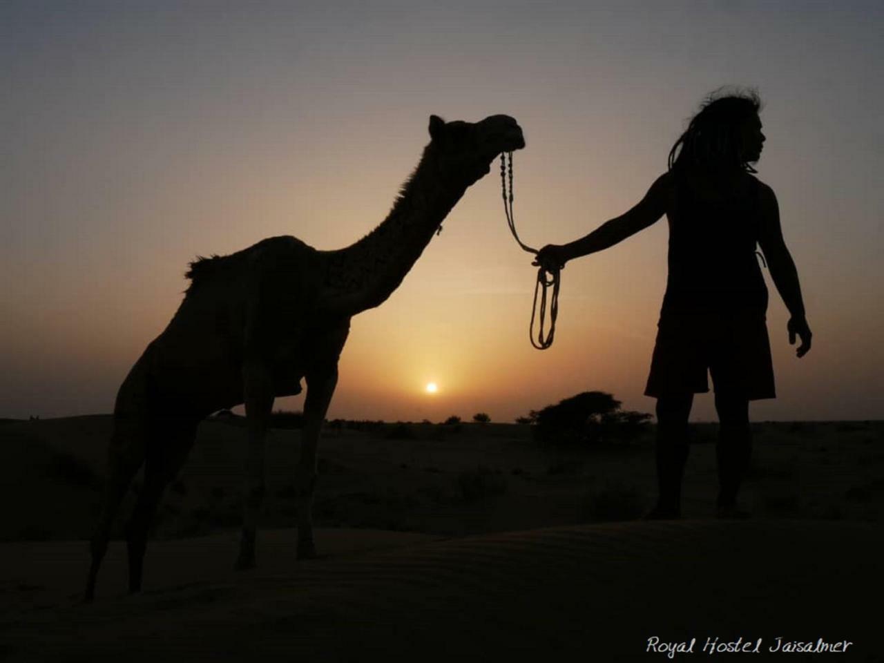 Hotel Royal Jaisalmer Luaran gambar
